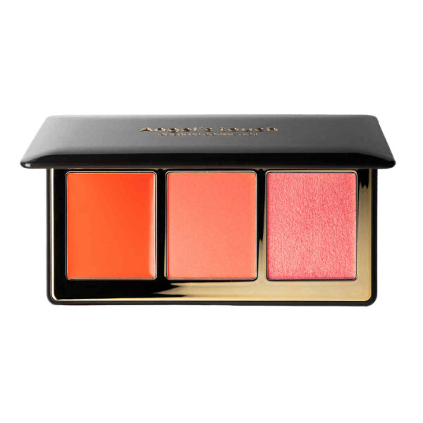 Cheri up -Angel’s Touch Palette – Peachy Wing